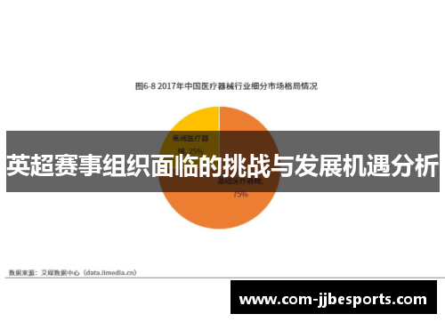 英超赛事组织面临的挑战与发展机遇分析 英超赛事组织面临的挑战与发展机遇分析